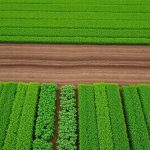 agriculture-conservation-sols