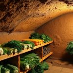 conservation-sans-frigo-garde-manger