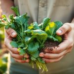 prix-justes-alimentation-agriculteur